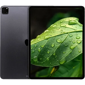 Apple iPad Pro 12,9 Zoll (5.Generation-2021) Spacegrau 256GB Wifi + 5G *Wie Neu* - Bild 1 von 1