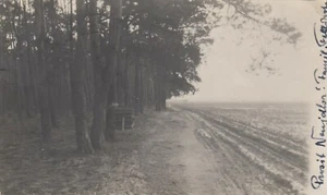 Lampertheim Bergstraße private Foto-AK 1930 Hessen 2202097 - Bild 1 von 2