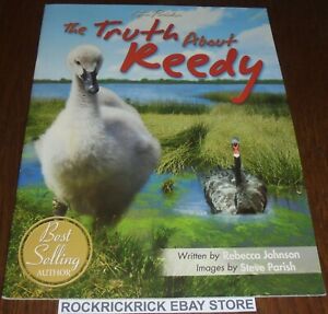 THE TRUTH ABOUT REEDY BOOK WRITTEN BY REBECCA JOHNSON 22CM X 28CM 