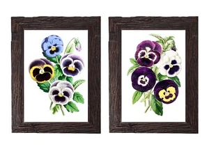 Vintage Pansy Flower Illustration Painting 5x7 Home Decor Wall Art Picture Set - Picture 1 of 3