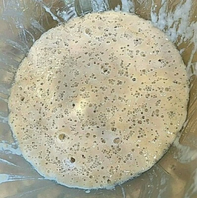 SOURDOUGH STARTER yeast FRONTIER 100 YR old VERY STRONG/ACTIVE extra sour (F)  - Image 1 of 4
