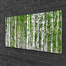 Tulup Image sur verre acrylique Tableau Impression 100x50 Bouleau Forêt Arbres