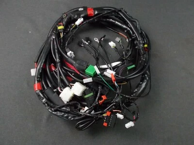 NEW GENUINE PIAGGIO X7 125 2008 MAIN WIRING LOOM 640740 - Image 1 of 2