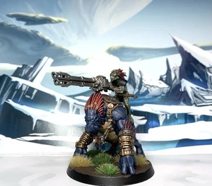 Warhammer 40k Tau Empire Krootox Rider Made To Order - Picture 1 of 5