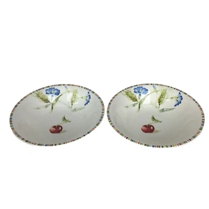 Faiencerie De Gien France Cherry Soup Cereal Desert Bowls 6.5" Diameter Set Of 2 - Picture 1 of 6