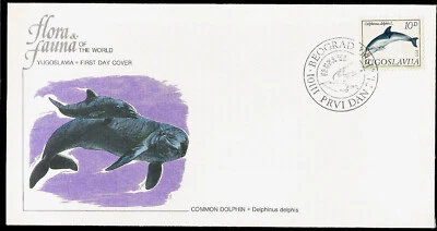 COMMON DOLPHIN ENDANGERED SPECIES 1980 YUGOSLAVIA FIRST DAY COVER DEAD COUNTRY — 第 1/3 张图片