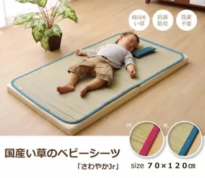 Japanese Igusa Sleeping Mat 70x120cm Blue Pink Tatami Sheet Made in Japan - Picture 1 of 16