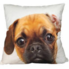 Dog Print Ultra Soft Velvet Cushion Cover, Luxury Pillowcase 18 X 18 Inches