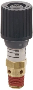 - CR25-100 -CR25 CR Series Brass Pressure Relief Valve, 0-100 psi Adjustable ... - Picture 1 of 2