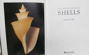 Encyclopedia of Shells by Wye, Kenneth - Imagen 1 de 3