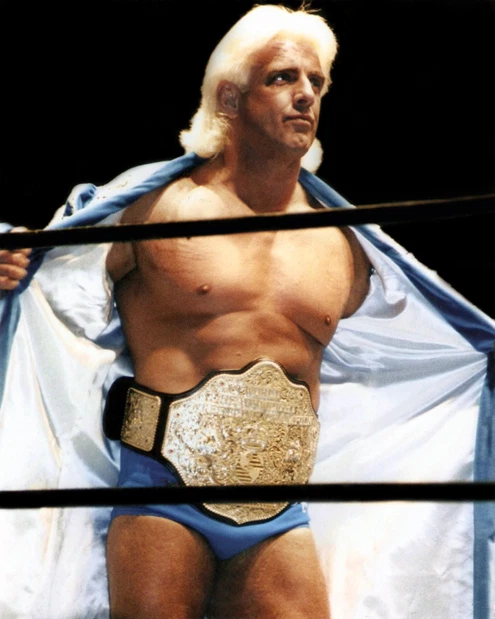 Pro Wrestler RIC FLAIR Glossy 8x10 Photo Wrestling WWF Print WWE Poster WCW - Image 1 of 1