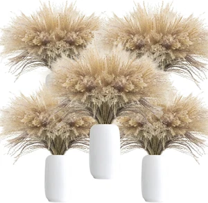 500Pcs Natural Dried Pampas Grass Plume 17Inch Tall Dried Flowers Bulk Reed Drie - Picture 1 of 7