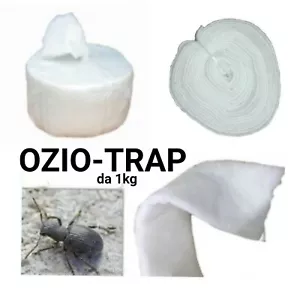 Lana Vetro OZIORRINCO TRAPPOLA OVATTA ALBERI AGRICOLTURA BIOLOGICA INSETTI OLIVO - Foto 1 di 5