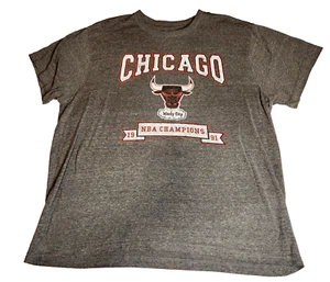 NBA Chicago Bulls 1991 Champions Basketball Herren T-Shirt XL grau kurzarm - Bild 1 von 7