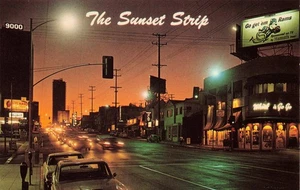 Postcard The Sunset Strip at Night, The Famous Strip, Hollywood California - Picture 1 of 2