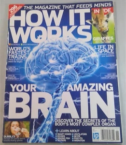 How It Works Magazin Nov. 2014 Your Amazing Brain Giraffen sprudeln Schnellzüge - Bild 1 von 11