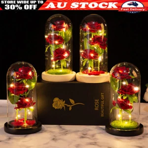 Three Rose in Glass Dome Eternal Flower LED Valentine's Day Wedding Decor Gift - Picture 1 of 16