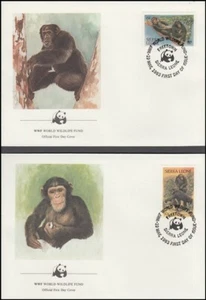 SIERRA LEONE WWF CHIMPANZEE SET ON FDC’s (x4) (ID:673/D17865) - Picture 1 of 2