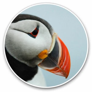 2 x Vinyl Stickers 20cm - Cute Puffin Bird Sea Birds Wild Cool Gift #24071 - Afbeelding 1 van 9