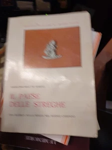 angelomichele de spirit das land der steghen eine suche nach magie im sanni - Bild 1 von 8