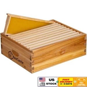 Caja de colmena súper abeja mediana de 10 marcos de madera sumergida en cera de abejas con marcos bases - Imagen 1 de 6
