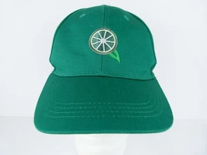 Deep Eddy Vodka Adult One Size Vodka Logo Green Baseball Cap - Picture 1 of 9