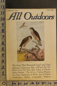 1920 NATUR VOGEL BEUTE SCHARF LEUCHTEND FALKE PFERD AUDUBON VINTAGE KUNST COVERVI32 - Bild 1 von 1