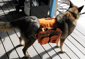 Hundesatteltasche mit großem Wassernapf für Wanderrucksack Reisen Liebenshund - Bild 1 von 11