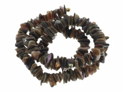 0.4 lfm (20,12 € */ 1 lfm) Paua Muschel Edelstein Splitter Strang 40cm/ 7-11mm - - Bild 1 von 2