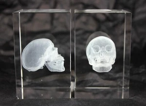 Human Skull 3d crystal engraving - Picture 1 of 12