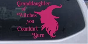Granddaughter Witches Couldnt Burn Car Truck Window Decal Hot Pink 4X4.7 - Imagen 1 de 1