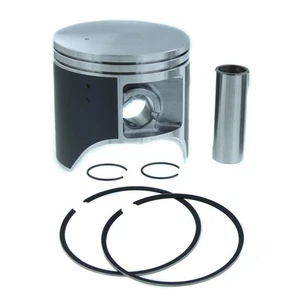 Piston Kit fits Arctic Cat M8 2010 2011 Teflon Coated by Race-Driven - Imagen 1 de 3
