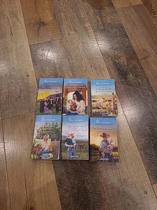 Lot Of 6 Love Inspired Inspirational Larger Print Books Romance Western Amish - Imagen 1 de 4