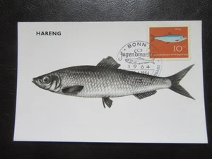Erstagsstempel Jugendmarke 1964,Fisch,Morue,Kabeljau - Picture 1 of 1