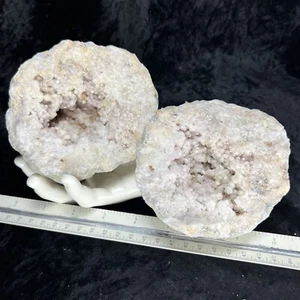 Natural Amethyst Hue Milky Quartz Crystal Cluster Whole GEODE Pair KY 2.7LBs - Picture 1 of 15