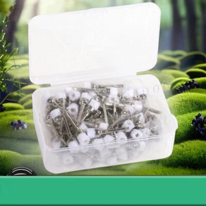 100PCS Dental-Polierbürste Nylon Oral Zähne Whitening Tools Prophy Polierbürste - Bild 1 von 15