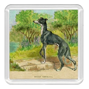 Italienischer Windhund Hund Acryl Untersetzer Neuheit Trinkbecher Matte tolles Geschenk - Bild 1 von 1