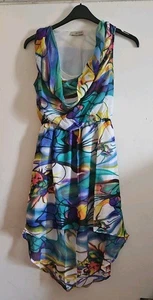 Ladies Size 10-12 Long Semi Sheer Multicolor Chiffon Sleeveless Top (lined) NWOT - Picture 1 of 2