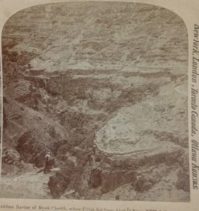 1896 Elijah Ahab Sublime Ravine Brook Cherith Biblical Antique Stereoview Card - Picture 1 of 3