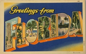 Greetings From Florida Used Postcard C.T. & Co Linen Vintage Souvenir Fla FL - Picture 1 of 3