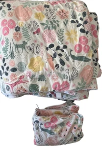 Pottery Barn Kids Sasha’s Garden FULL QUEEN Quilt with 1 Standard Sham - Picture 1 of 7