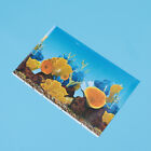  Fish Tank Background Paper Aquarium Sticker 3d Wall Double-sided
