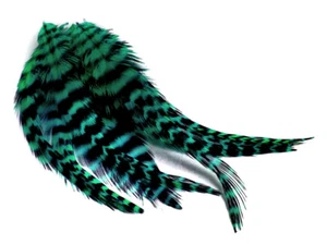 1 Dozen - Short Peacock Green Grizzly Whiting Farm Rooster Saddle Hair Feathers - Picture 1 of 4