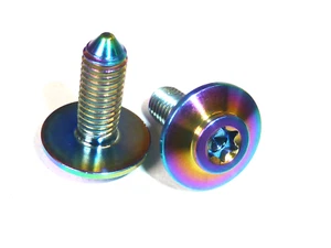 BMW TITANIO 46638534938 M5X14 CARENADO GUARDABARROS TORNILLO CABEZA RELLENO T25 TORX - Imagen 1 de 6