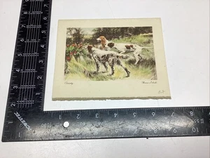 P-1 7 ART PAPER ETCHING PRINT PHOTO THOMAS BLINKS CURIOSITY ENGLISH SETTER COLOR - Picture 1 of 21