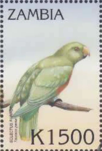 Zambia #Mi1184 MNH 2000 Birds Eclectus Parrot [886b] - Image 1 of 1