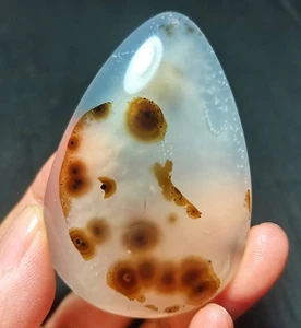 Top 56,3 G Plantas Acuáticas Pulidas Naturales Ágata Cristal Madagascar R1963 - Imagen 1 de 15