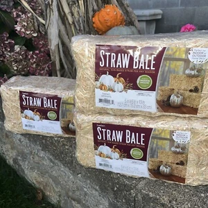 (3) Brand New FloraCraft Straw Bale, 6-Inch by 5-Inch by 13-Inch Natural Hay New - Picture 1 of 24