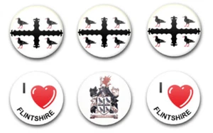 25 MM 1 ZOLL KNOPFABZEICHEN FEUERSTEIN X6 - Bild 1 von 1