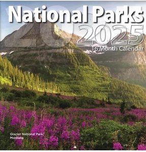 2025 Wall Calendar America's National Parks 12x24" 16 Months Arches Yellowstone - Picture 1 of 5